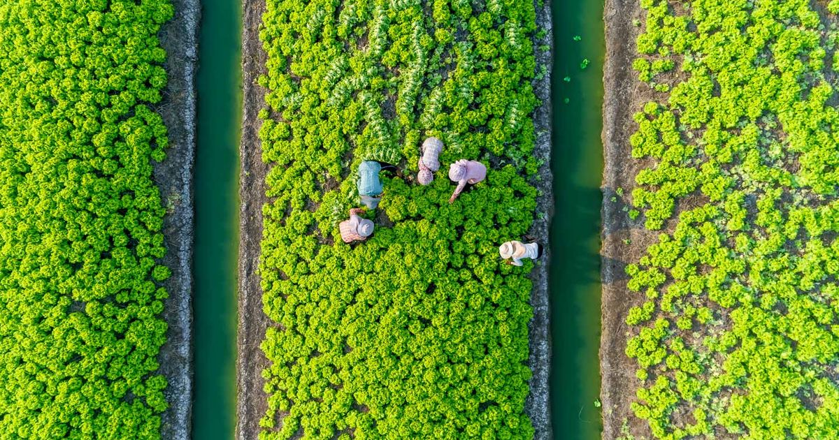Sustainable Sourcing